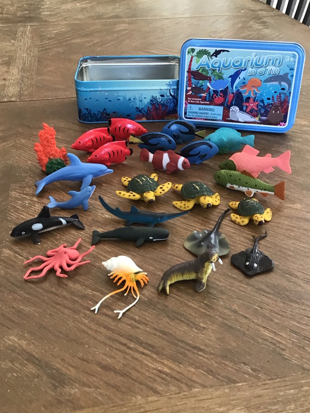Aquarium in a tin.